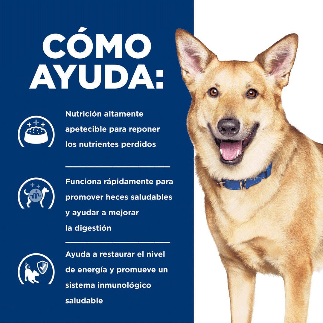 Hills i/d Digestive Care - Alimento para Perro Hills i/d Digestive Care - Alimento para Perro